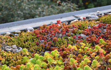 the cost of Gwernogle green roof installation
