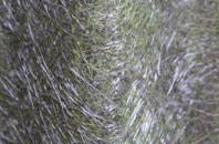 Gwernogle fibreglass roof work